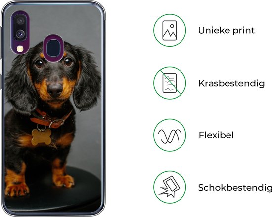 Coque Samsung Galaxy A40 - Studio photo de chiot teckel - Siliconen - Sinterklaas - Noël - Cadeaux - Chaussures cadeaux