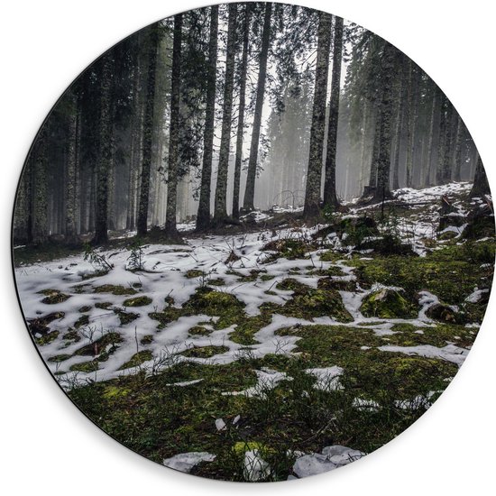 WallClassics - Dibond Muurcirkel - Smalle Bomen in Bos met Kleine Beetjes Sneeuw - 50x50 cm Foto op Aluminium Muurcirkel (met ophangsysteem)