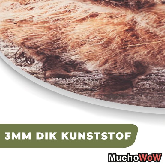 Ovale Mural - Décoration murale Plastique - Peinture Ovale - Highlanders écossais - Neige - Soleil - 40x60 cm - Forme miroir ovale sur plastique