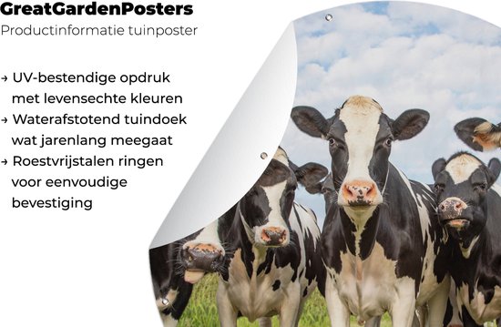 Garden Circle Vaches - Pâturage - Animaux - Nature - Herbe - 90x90 cm - Affiche Ronde de Jardin - Extérieur