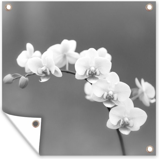 Posters de jardin Orchidée - Fleurs - Plante - Wit - Violet - 50x50 cm - Toile jardin - Affiche extérieure