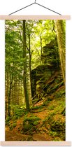 Posterhanger incl. Poster 60x120 cm - Schoolplaat - Bomen - Steen - Bos - Natuur - Planten - Textielposter - Blanke latten