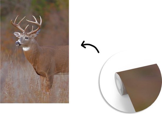 Behang - Fotobehang Herfst - Hert - Gras - Natuur - Dieren - Breedte 225 cm x hoogte 350 cm