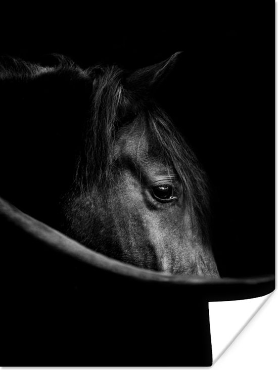 Poster Paarden - Portret - Zwart - Dieren - 60x80 cm