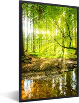 Cadre photo avec affiche - Forêt - Paysage - Water - Arbres - Soleil - Vert - Nature - 40x60 cm - Cadre pour affiche