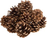 Dennenappels - per 10 kilo verpakt - kleur: naturel - perfect voor Kerst