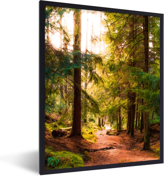 Cadre photo avec affiche - Forêt - Chemin - Arbres - Vert - Soleil - Nature - 60x80 cm - Cadre pour affiche