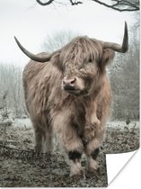Poster Schotse Hooglander - Bos - Mist - Koe - Dieren - Natuur - 30x40 cm