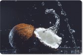 Muismat - Mousepad - Kokosnoot - Stilleven - Water - Zwart - Fruit - 27x18 cm - Muismatten