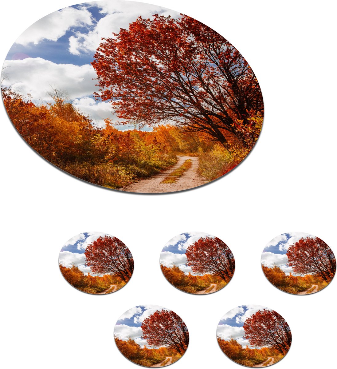 Onderzetters voor glazen - Rond - Boom - Pad - Herfst - 10x10 cm - Glasonderzetters - 6 stuks