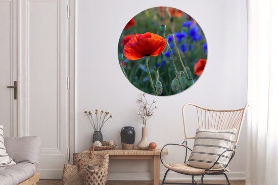 WallCircle - Cercle mural - Cercle mural - Coquelicots colorés aux Nederland - Aluminium - Dibond - 120x120 cm - Intérieur et extérieur XXL