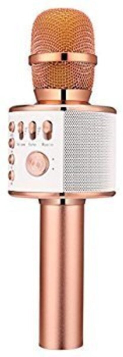 Handheld KTV WS-858 Rose Gold Karaoke Microphone With Speaker
