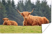 Moeder en kalf Schotse hooglander Poster 120x80 cm - Foto print op Poster (wanddecoratie woonkamer / slaapkamer) / Wilde dieren Poster