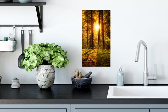 Poster Bos - Zon - Bomen - Natuur - Zonsondergang - 20x40 cm