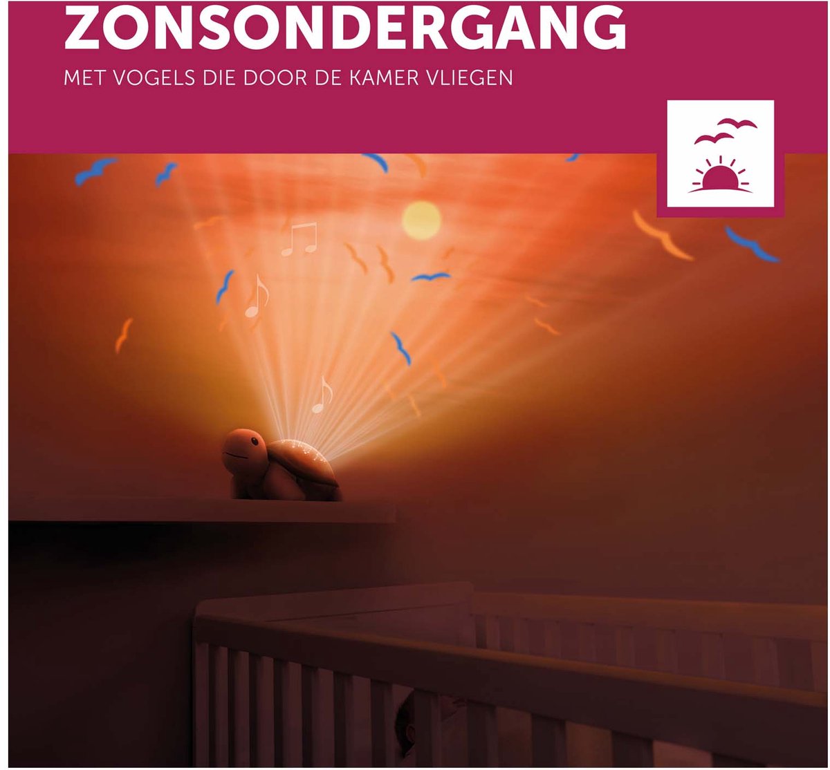 Zazu Projector Tim De Schildpad – foto 3