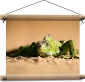 WallClassics - Affiche textile - Iguane vert dans le Sable - 40x30 cm Photo sur textile