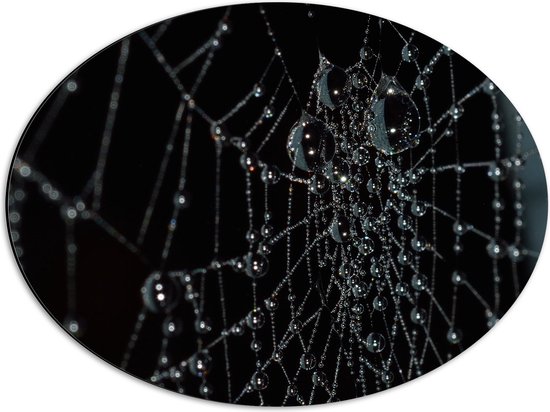WallClassics - Dibond Ovaal - Spinnenweb met Waterdruppels - 56x42 cm Foto op Ovaal (Met Ophangsysteem)