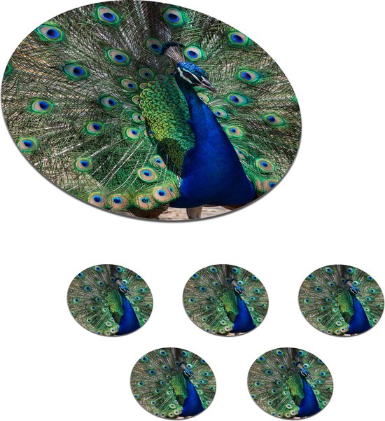 Verkleedmasker - groen/blauw - pauwenver - voor volwassenen - Veren masker voor kerst bestellen