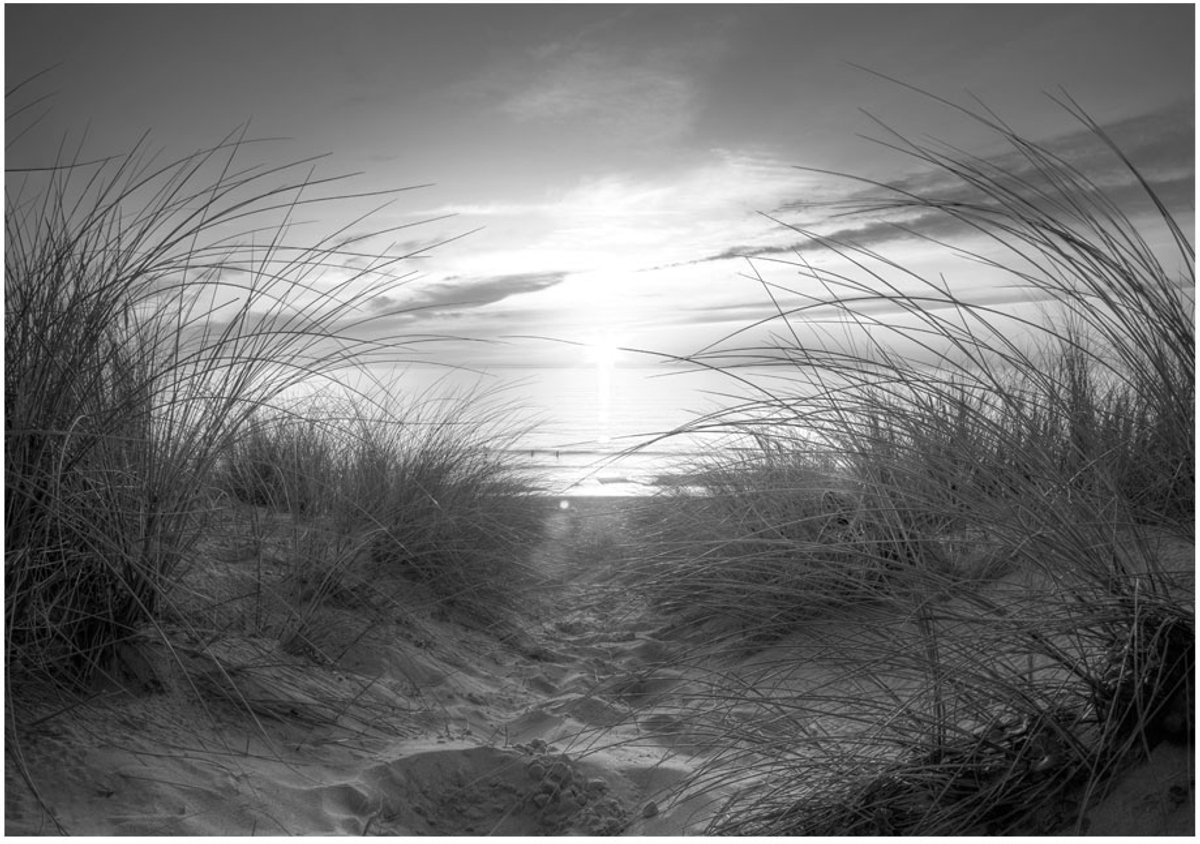 Fotobehang - beach (black and white).