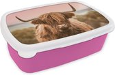 Broodtrommel Roze - Lunchbox - Brooddoos - Koe - Schotse hooglander - Dier - 18x12x6 cm - Kinderen - Meisje