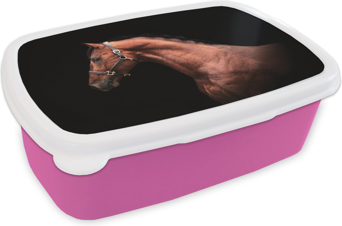 Broodtrommel Roze - Lunchbox - Brooddoos - Paard - Licht - Halster - 18x12x6 cm - Kinderen - Meisje