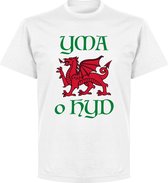 Wales Yma O Hyd Kinderen T-Shirt - Wit - Kinderen - 128