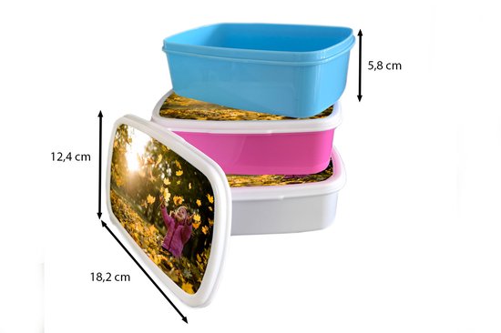 Broodtrommel Roze - Lunchbox - Brooddoos - Meisje - Bladeren - Lucht - 18x12x6 cm - Kinderen - Meisje