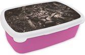 Broodtrommel Roze - Lunchbox - Brooddoos - Flamingo - Aap - Dieren - 18x12x6 cm - Kinderen - Meisje