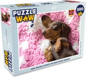 Puzzel Een Teckel puppy op een roze deken - Legpuzzel - Puzzel 500 stukjes