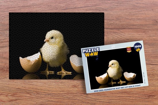 Puzzle Un poussin jaune qui vient d'éclore d'un oeuf - Puzzle - Puzzle 1000 pièces adultes