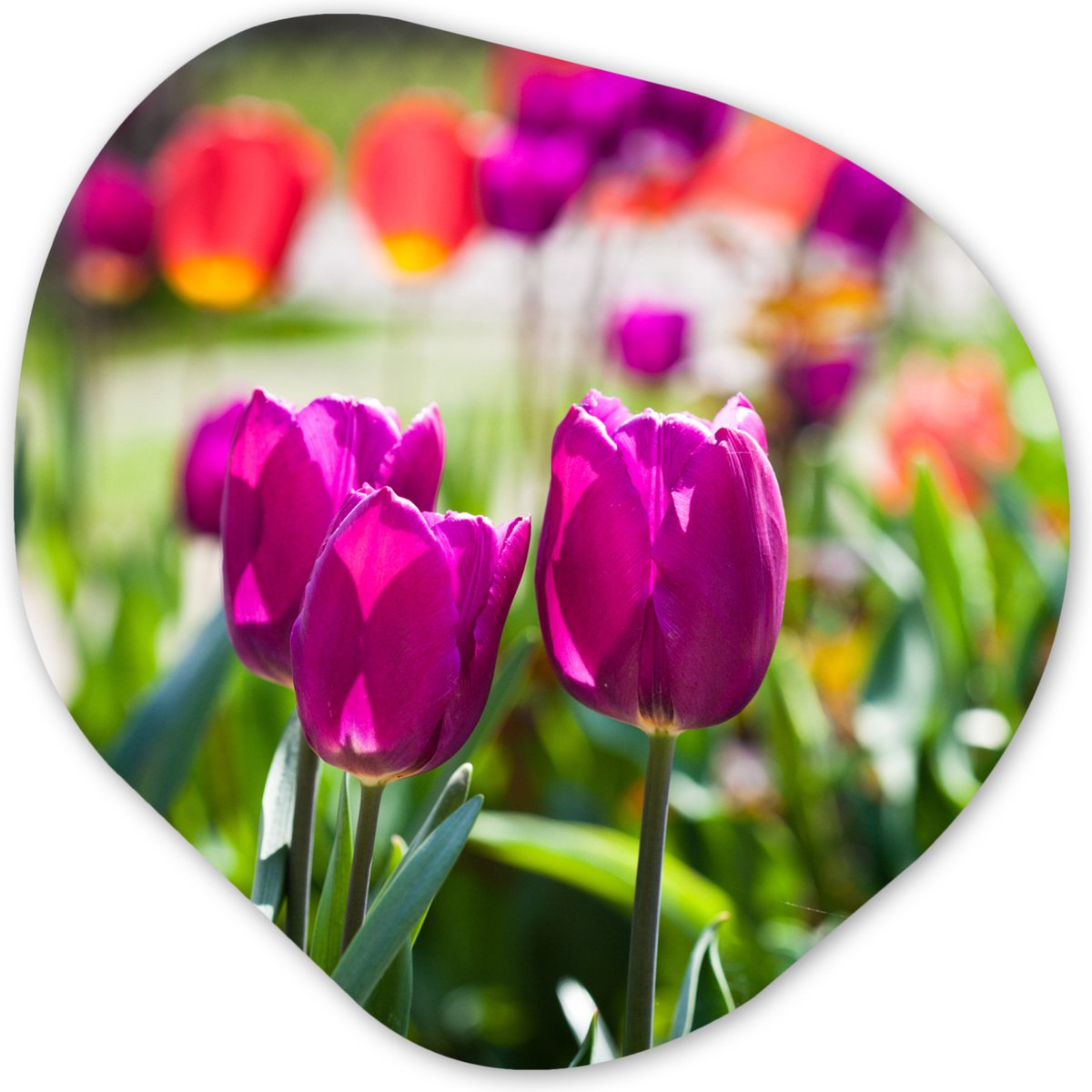 Organische Wanddecoratie - Kunststof Muurdecoratie- Organisch Schilderij - Lente - Tulpen