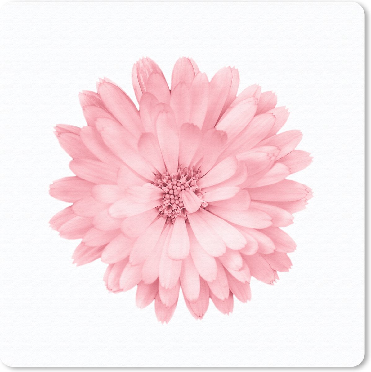 Muismat 20x20 cm - Mousepad Bloemen - Roze - Kamille - Muismatten