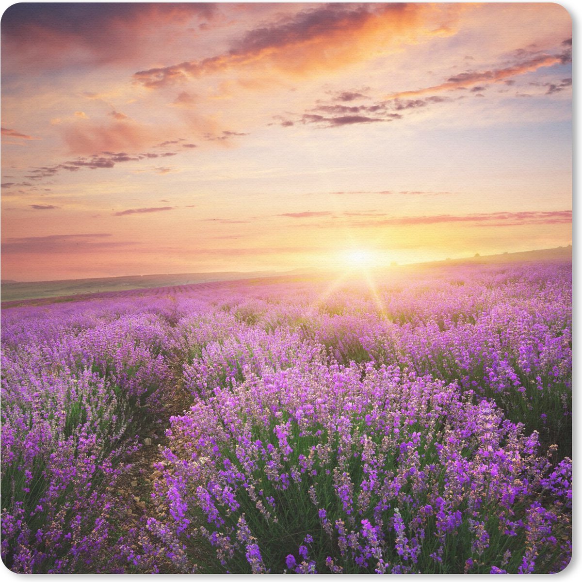 Muismat 20x20 cm - Mousepad Lavendel - Zon - Bloemen - Muismatten