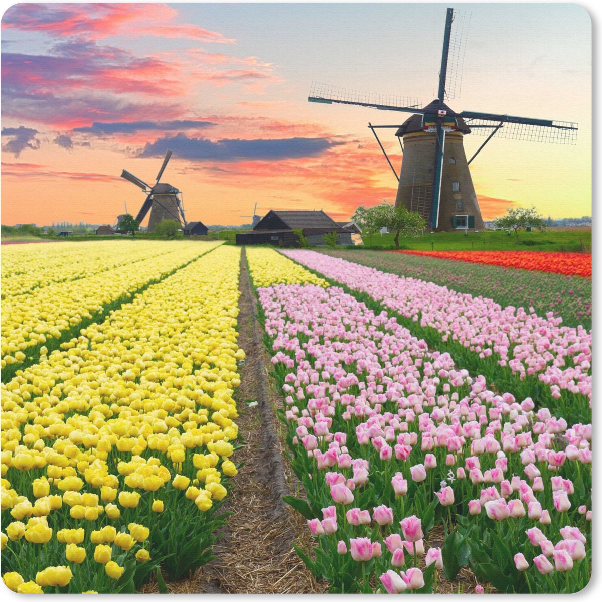 Muismat 30x30 cm - Mousepad Windmolen - Tulpen - Bloemen - Nederland - Muismatten