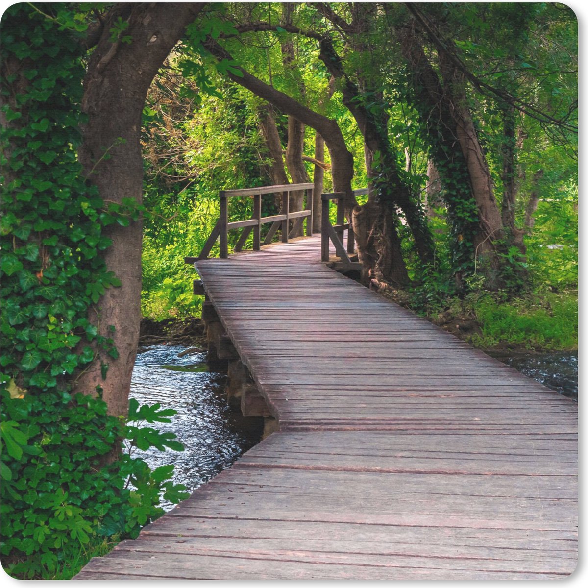 Muismat 20x20 cm - Mousepad Bos - Natuur - Brug - Muismatten