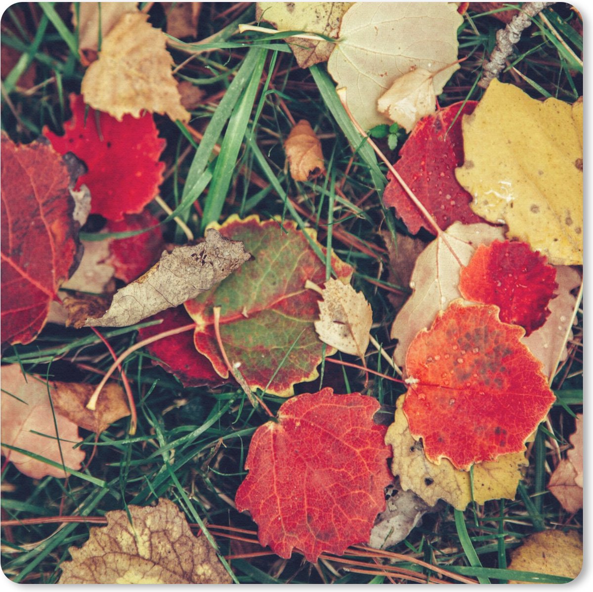 Muismat 30x30 cm - Mousepad Bladeren - November - Herfst - Natuur - Muismatten