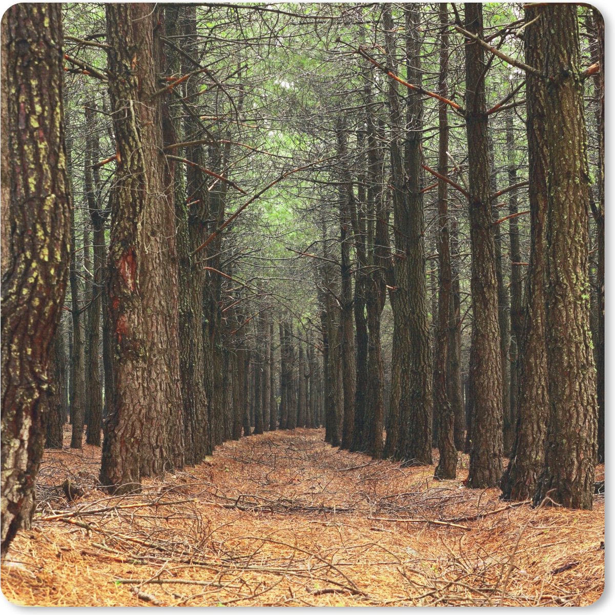 Muismat 30x30 cm - Mousepad Herfst - Landelijke decoratie - Bos - Muismatten