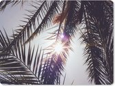 Muismat Groot - Palmbladeren - Zon - Zomer - 40x30 cm - Mousepad - Muismat