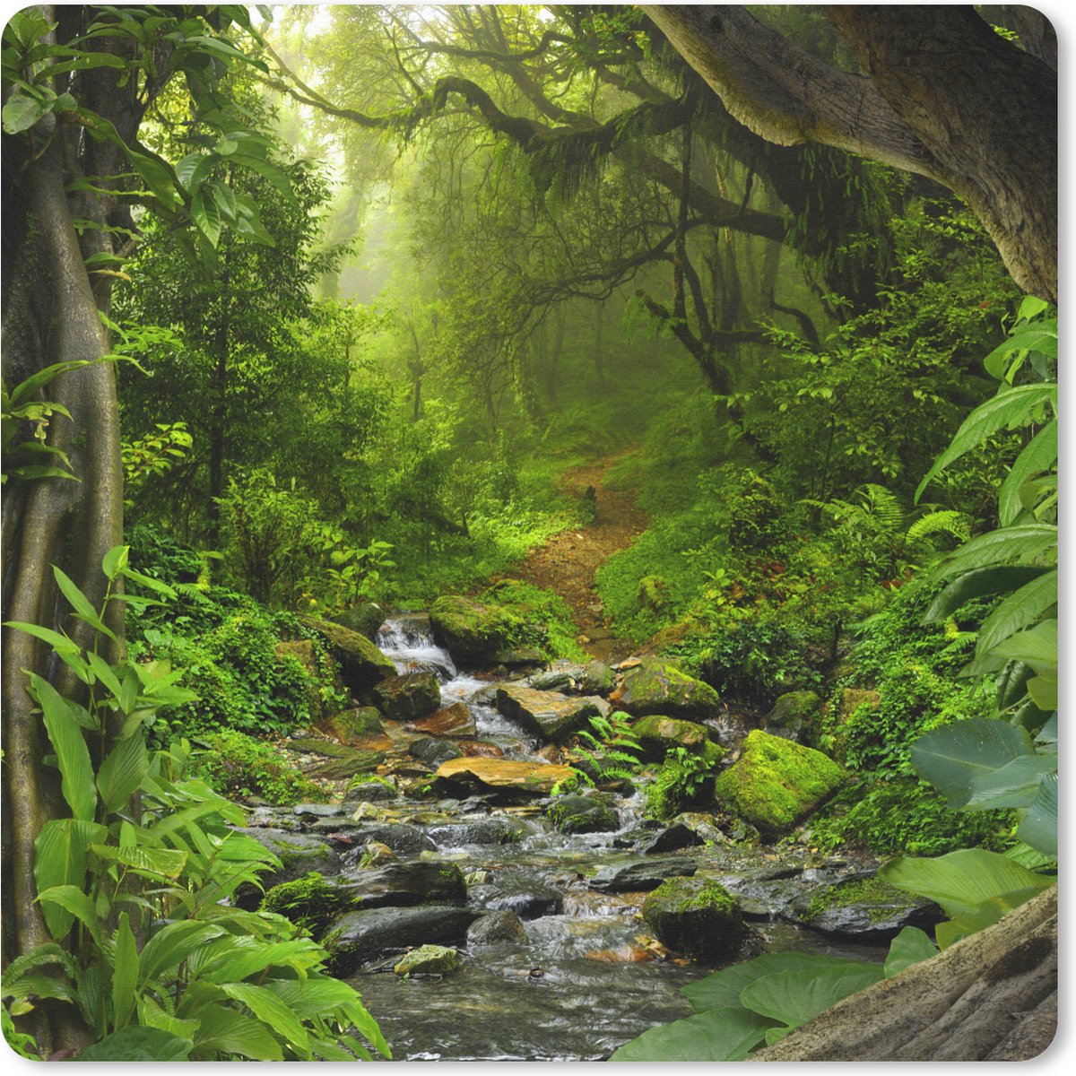 Muismat 20x20 cm - Mousepad Natuur - Water - Jungle - Bos - Tropisch - Muismatten