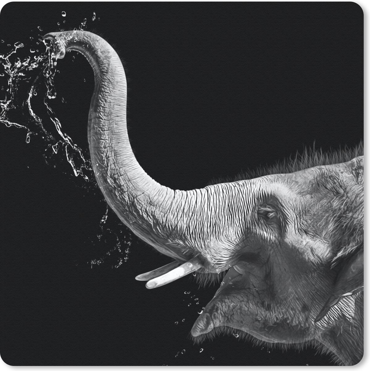 Muismat 20x20 cm - Mousepad Portret - Olifant - Dieren - Zwart wit - Muismatten