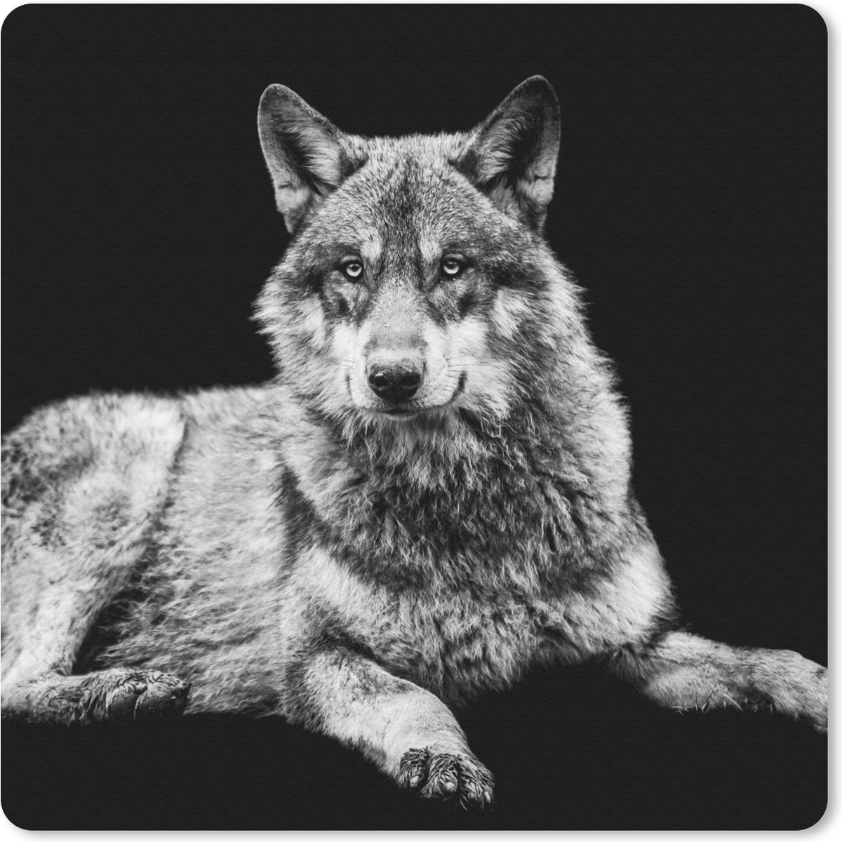 Muismat 20x20 cm - Mousepad Wilde dieren - Wolf - Zwart - Wit - Muismatten