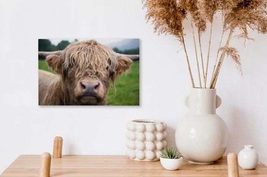 Toile Highlander écossais poilue 2cm