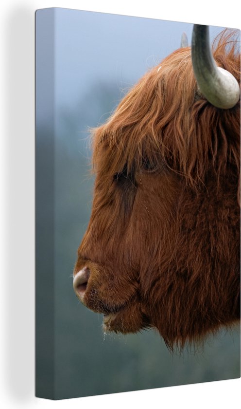 Gros plan sur toile écossais highlander 2cm 80x120 cm - Tirage photo sur toile (Décoration murale salon / chambre) / Animaux sauvages Peintures sur toile