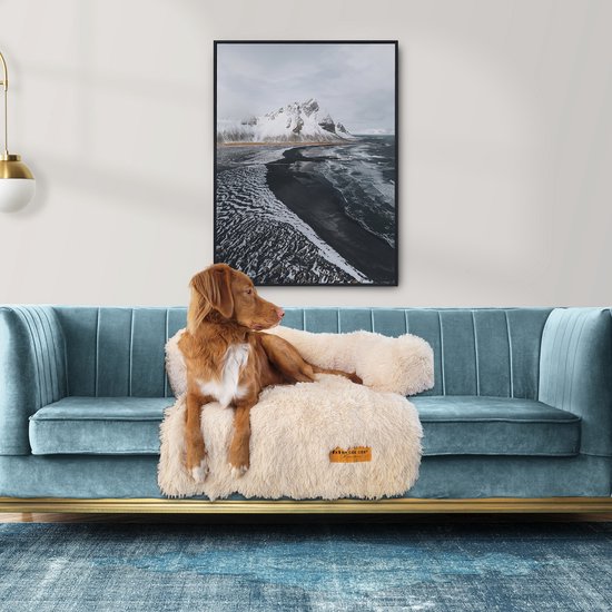 Couverture Originale pour Chien pour Couch M - Couverture pour