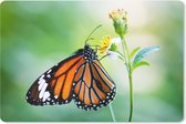 Bol.com Muismat - Mousepad - Vlinder - Bloemen - Insecten - 27x18 cm - Muismatten aanbieding
