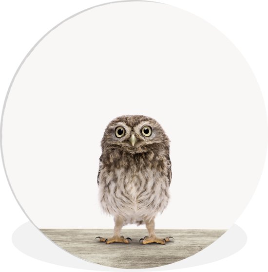 Hibou poussin imprimé animal pépinière assiette en plastique cercle mural ⌀ 120 cm - impression photo sur cercle mural / cercle vivant (décoration murale) XXL / Groot format!
