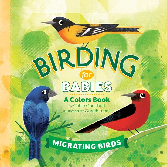 Foto: Birding for babies migrating birds