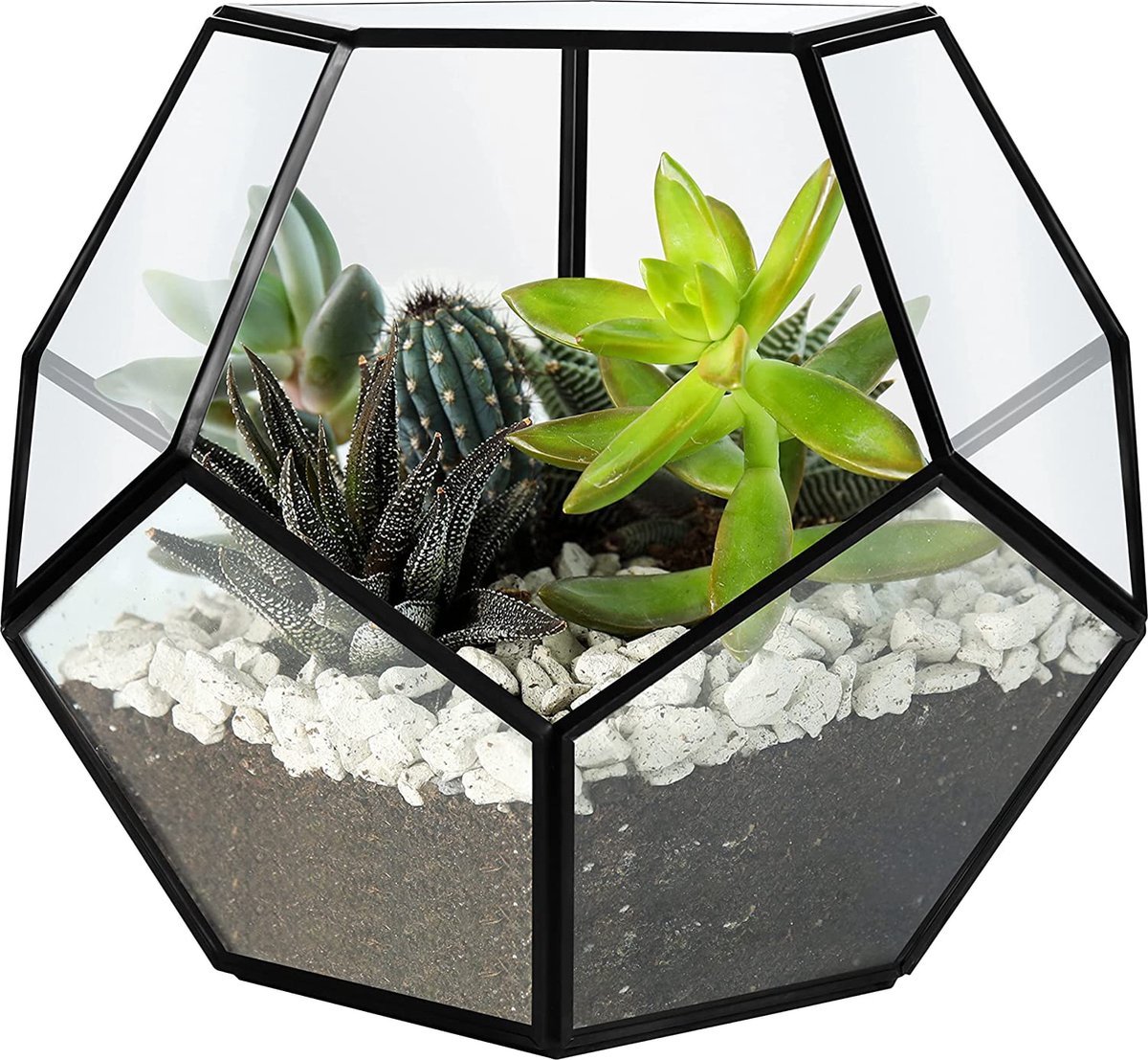 Belle Vous Jardinière de Terrarium en Glas Géométrique Zwart 18 cm -  Plateau de