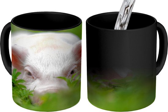 Mug Magique - Photo sur Mugs Chauffants - Tasse à Café - Cochon - Animaux -  Porcelet -... | bol.com