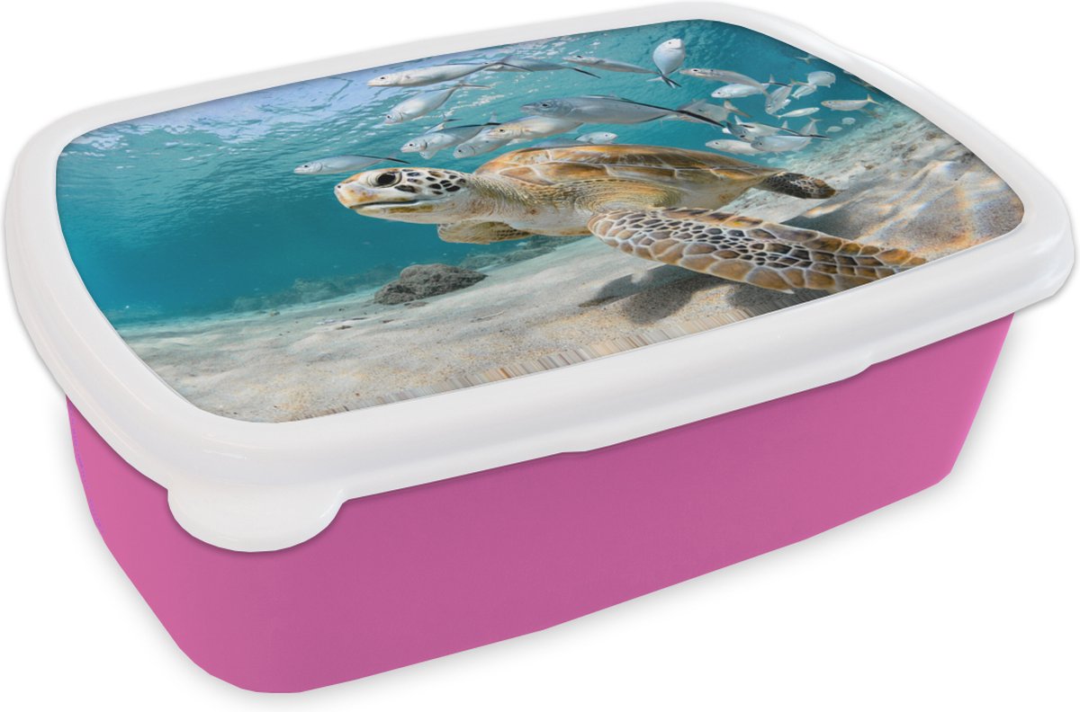 Broodtrommel Roze - Lunchbox - Brooddoos - Schildpad - Vis - Zee - 18x12x6 cm - Kinderen - Meisje